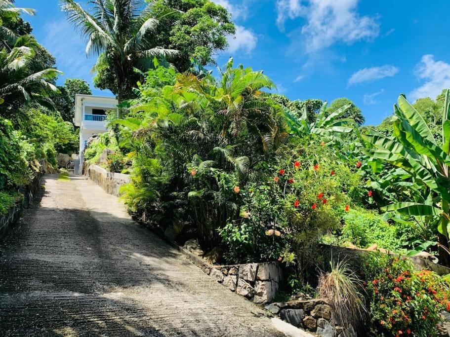 Crystal Apartments Seychelles Seaview Upper Floor Glacis  Exterior foto